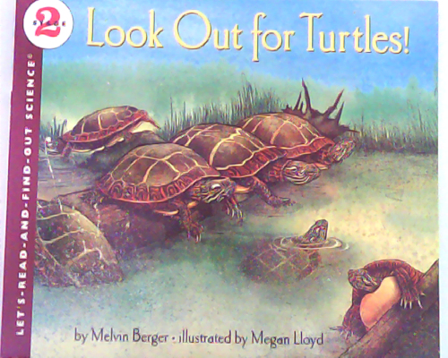 Look Out for Turtles!